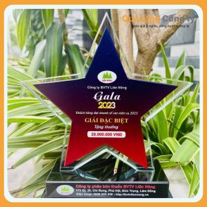 Kỷ niệm chương in logo