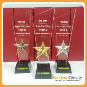 Kỷ niệm chương in logo