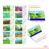 Lịch Để Bàn 2027 MT Mẫu MT40 (24 x 17cm) In Logo Doanh Nghiệp Giá Xưởng in logo doanh nghiệp quà tặng Tết tại Quà Tặng Công Ty VN