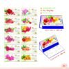 Lịch Để Bàn 2027 MT Mẫu MT49 (24 x 17cm) In Logo Doanh Nghiệp Giá Xưởng in logo doanh nghiệp quà tặng Tết tại Quà Tặng Công Ty VN